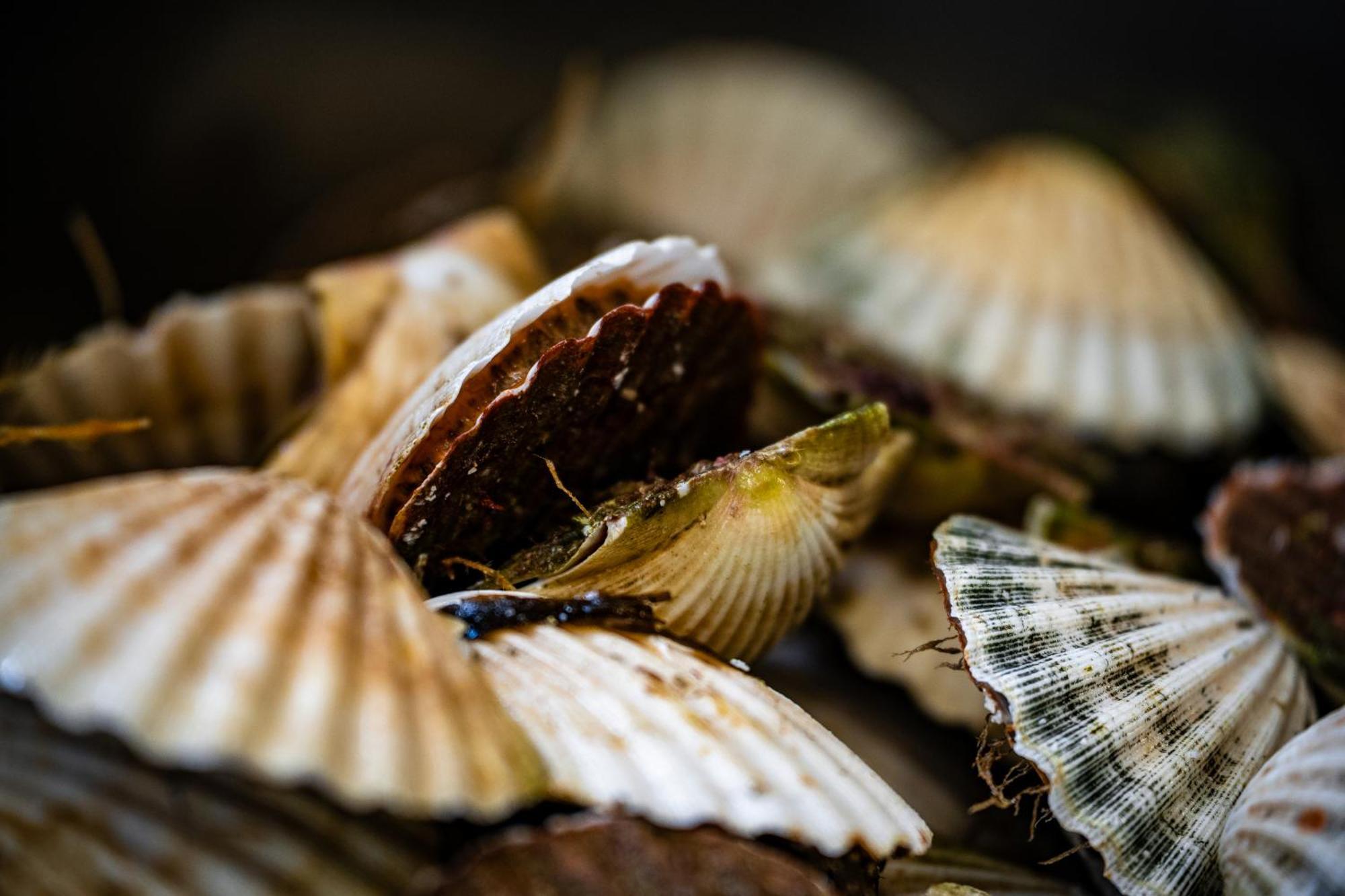 Murray Arms Hotel And Seafood Restaurant, Orkney Saint Margarets Hope Εξωτερικό φωτογραφία